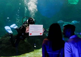 Κρήτη: Νέος έβαλε δύτη να κάνει πρόταση γάμου στη γυναίκα του