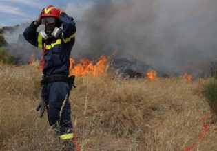 Έβαζε φωτιές για να ερωτοτροπεί με τους πυροσβέστες – Η ποινή που θα εκτίσει η 44χρονη για τους εμπρησμούς στην Τρίπολη