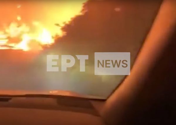 Φωτιά στην Αττική: Περιπολικό περνά μέσα από τις φλόγες στον Μαραθώνα – Δείτε το συγκλονιστικό βίντεο