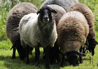 ΚΑΠ: Πώς θα εφαρμοστεί η παρέμβαση για τις αυτόχθονες φυλές