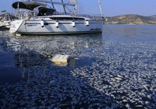 «Ταφόπλακα» η μόλυνση του Παγασητικού για τους επαγγελματίες – Ερώτηση ΣΥΡΙΖΑ στη Βουλή