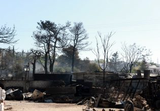 Φωτιά στην Αττική: Κύμα αλληλεγγύης για τους πυρόπληκτους από τους δήμους