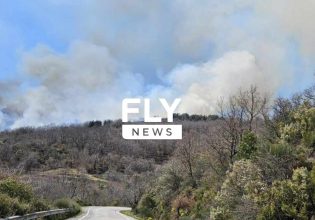 Φωτιά στη Λακωνία: Συναγερμός στην περιοχή Καλύβια Σοχάς – Σηκώθηκαν πέντε εναέρια