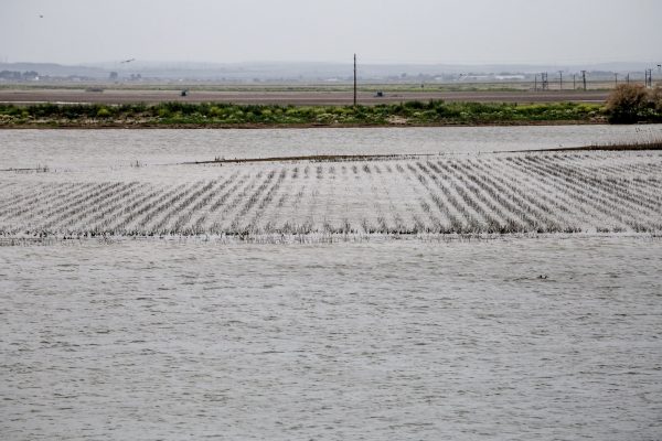 ΣΥΡΙΖΑ: Η κυβερνητική αδράνεια στη Θεσσαλία δεν είναι απλά προκλητική, είναι επικίνδυνη
