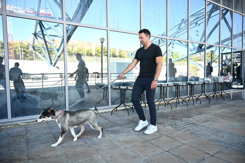 Κασσελάκης: Αυτά ισχύουν για την υιοθεσία του σκυλιού – «Ο Μητσοτάκης βρίσκεται σε παροξυσμό μεγαλομανίας»