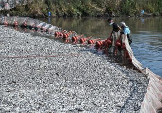 Ερωτήματα Νέας Αριστεράς για τα νεκρά ψάρια στον Παγασητικό – «Επιτελική διάλυση του κράτους»