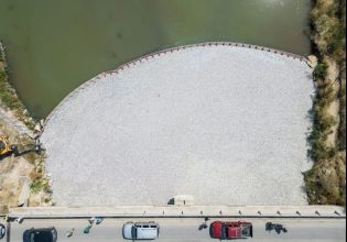 Βόλος: Ολοένα και πιο τρομακτικές οι εικόνες με τα νεκρά ψάρια – Μαζεύτηκαν πάνω από 160 τόνοι