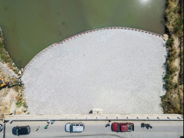 Βόλος: Ολοένα και πιο τρομακτικές οι εικόνες με τα νεκρά ψάρια – Μαζεύτηκαν πάνω από 160 τόνοι