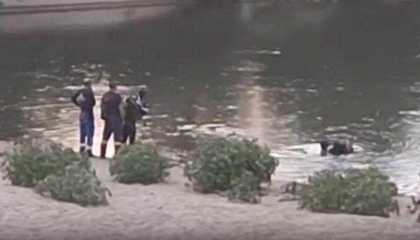 Σέρρες: Εντοπίστηκε η σορός του αγνοούμενου ψαρά στον Στρυμόνα