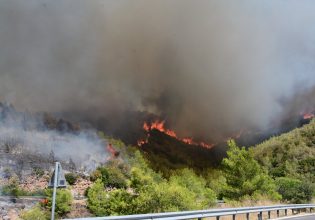 Φωτιά στην Αττική: «Καταστράφηκε το σπίτι μας. Ήταν καθαρός εμπρησμός» – Σοκάρει κάτοικος του Βαρνάβα