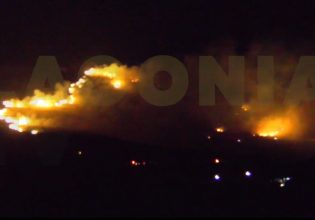 Φωτιά τώρα στην Ανατολική Μάνη