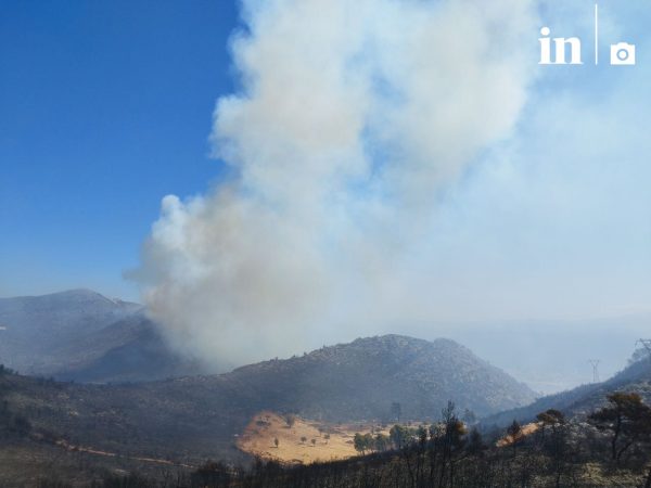 Φωτιά στην Αττική: Βίντεο και φωτογραφίες του in από τα πύρινα μέτωπα στην Αττική