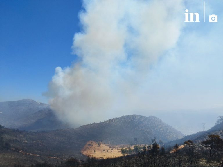 Φωτιά στην Αττική: Βίντεο και φωτογραφίες του in από τα πύρινα μέτωπα στην Αττική