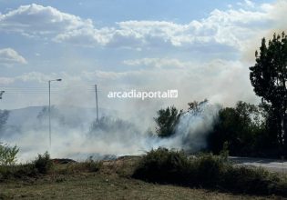 Φωτιά τώρα στην Αρκαδία – Καίει στην περιοχή Δεμίρι