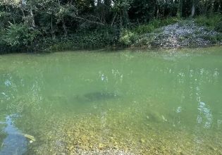 Ποταμός Δρίνος: Βυθίστηκε πλοιάριο με μετανάστες – Αναζητούν αγνοούμενους, τουλάχιστον 10 νεκροί