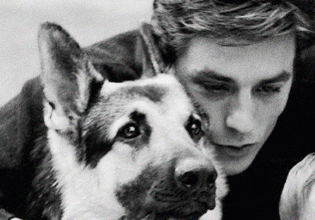 Η «άνιση» διαθήκη του Αλέν Ντελόν