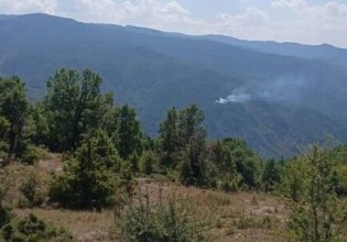 Ιωάννινα: Φωτιά στο πευκοδάσος στη Δροσοπηγή Κόνιτσας – Επιχειρεί και ελικόπτερο