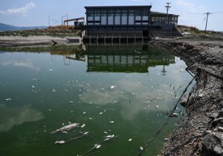 Βόλος: Κολύμπι και ψάρεμα είναι επικίδυνα λόγω της αποσύνθεσης των ψαριών λέει καθηγητής Χημείας