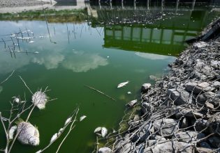 Για ένα μήνα σε κατάσταση έκτακτης ανάγκης ο Βόλος για τα νεκρά ψάρια στον Παγασητικό
