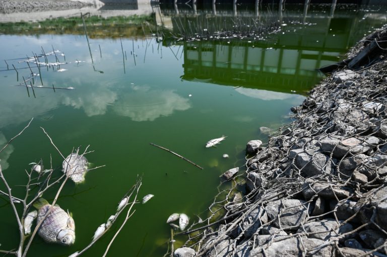Για ένα μήνα σε κατάσταση έκτακτης ανάγκης ο Βόλος για τα νεκρά ψάρια στον Παγασητικό