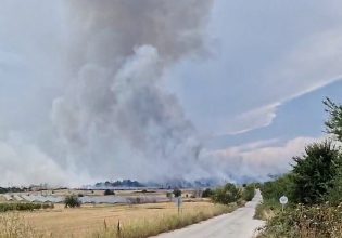 Φωτιά στην Κοζάνη: Καίει μεταξύ των οικισμών Πέτρανα-Βαθύλακκος – Σε ισχύ κυκλοφοριακές ρυθμίσεις