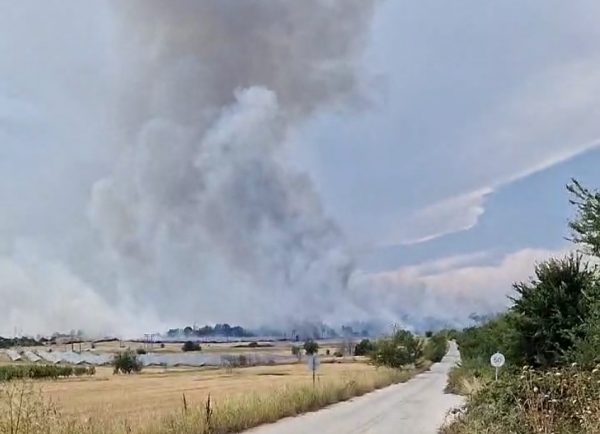 Φωτιά στην Κοζάνη: Καίει μεταξύ των οικισμών Πέτρανα-Βαθύλακκος – Σε ισχύ κυκλοφοριακές ρυθμίσεις