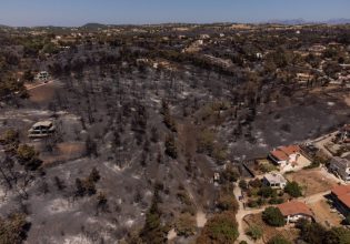 Στάχτη η Αττική: Η ζοφερή πραγματικότητα της επόμενης ημέρας μετά τη φωτιά