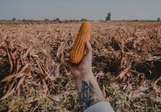 Από τους «πολέμους για το πετρέλαιο» στους «πολέμους για τα τρόφιμα» – Κινδυνεύει η επισιτιστική ασφάλεια;