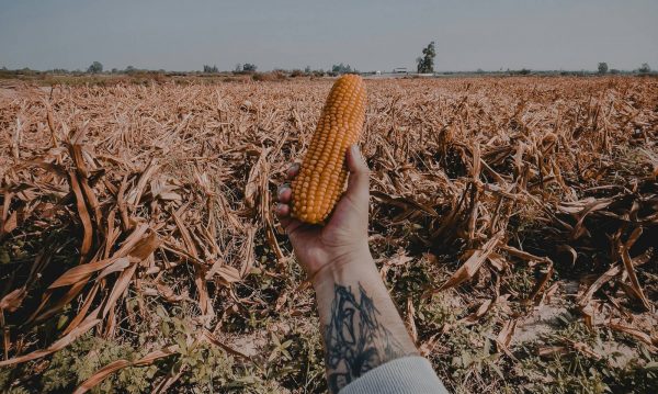 Από τους «πολέμους για το πετρέλαιο» στους «πολέμους για τα τρόφιμα» – Κινδυνεύει η επισιτιστική ασφάλεια;