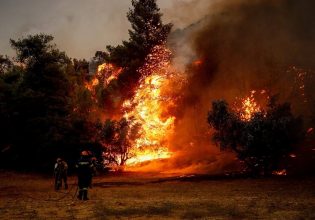 Φωτιά τώρα στην Ροδόπη – Στη μάχη εννέα εναέρια μέσα