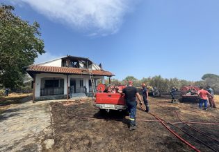 Φωτιά στην Πιερία: Έσβησε η πυρκαγιά στην Πλάκα Λιτοχωρίου – Παραμένουν οι δυνάμεις της Πυροσβεστικής