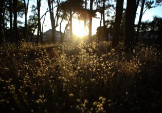 Καιρός: Άνοδος της θερμοκρασίας σήμερα – Πού θα βρέξει