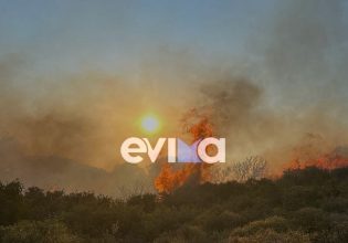 Φωτιά στην Εύβοια: Σε δασική έκταση – Σπεύδουν ισχυρές δυνάμεις της Πυροσβεστικής [βίντεο]