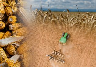 Κλιματική αλλαγή: Πώς πυροδοτεί νέο κύκλο ανατιμήσεων με… έμφαση στα τρόφιμα – Τι γράφει το TIME