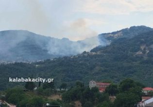 Φωτιά στην Παναγιά Καλαμπάκας στα Τρίκαλα
