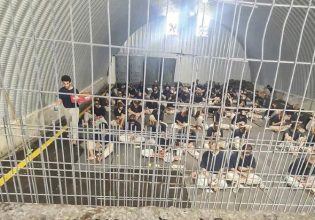 Ισραήλ: Στρατιώτες περιγράφουν τα βασανιστήρια σε Παλαιστίνιους στη φυλακή κολαστήριο