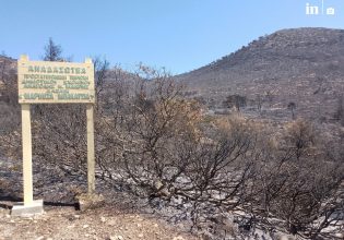 Αυτοψία in στα καμένα από Βαρνάβα έως Βριλήσσια που ακόμη περιμένουν τον Πρωθυπουργό – Όχι δεν «επλήγησαν λίγοι», θα υποφέρουμε όλοι…