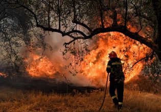 Επανέρχεται ο πολύ υψηλός κίνδυνος φωτιάς στην Αττική και άλλες περιοχές – Πού χτυπάει πορτοκαλί συναγερμός