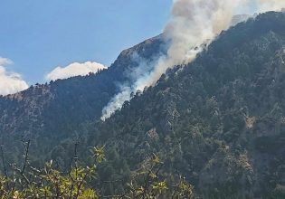 Δύσκολη η φωτιά στον Ταϋγετο – Καίει σε δύσβατες χαράδρες με πεύκα στα Καλύβια Σοχάς