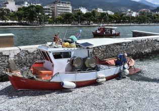 Βόλος: Τα νεκρά ψάρια έβαλαν λουκέτο στη εστίαση –  Σε απόγνωση οι επιχειρηματίες