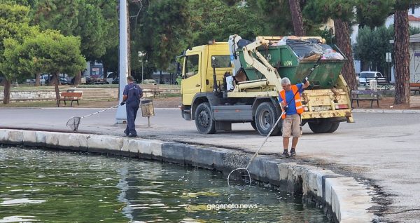 Βόλος: Με απόχες μαζεύουν τα νεκρά ψάρια από το λιμάνι – Θλιβερές εικόνες