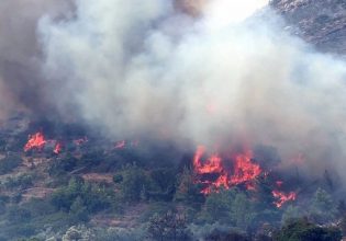Φωτιά στον Όλυμπο σε χαράδρα – Επιχειρεί και ελικόπτερο