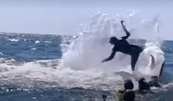 Η στιγμή που φάλαινα 30 τόνων εκτοξεύει στον αέρα κολυμβητή στα ανοιχτά της Αυστραλίας