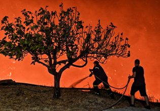 ΠΑΣΟΚ: Τα μηνύματα των υποψήφιων πρόεδρων για την καταστροφική φωτιά στο Ξυλόκαστρο