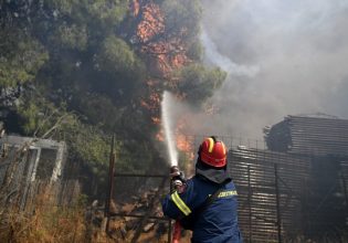 Κικίλιας: Συλλάβαμε τους πιο πολλούς εμπρηστές στην ιστορία της δασοπυρόσβεσης
