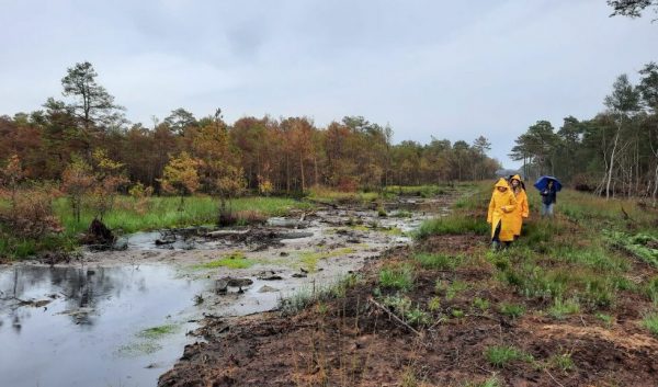 «Μέτρα σπόγγου» σε ποτάμια της Ελλάδας