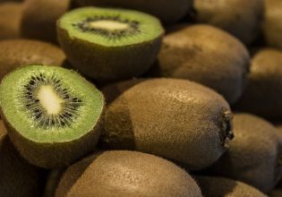 Ακτινίδιο: Συνεχίζεται η εξαγωγή παράνομων φορτίων στην Ολλανδία