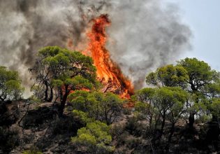 Φωτιά στη Φθιώτιδα – Κινητοποιήθηκαν εναέρια μέσα
