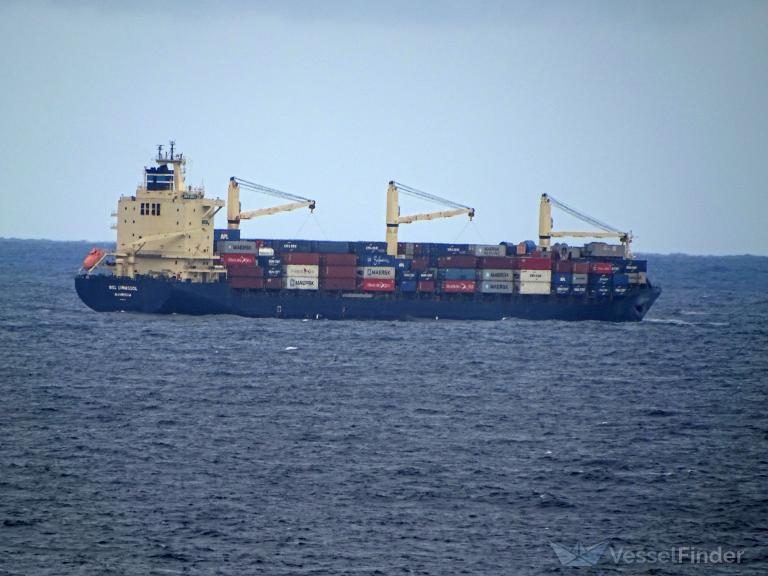 Υεμένη: Οι Χούθι ανέλαβαν την ευθύνη για την επίθεση σε πλοίο μεταφοράς εμπορευματοκιβωτίων