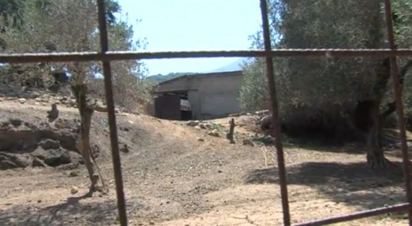 Κρήτη: Τι εξετάζουν οι Αρχές για την επίθεση στον κτηνοτρόφο – Η βεντέτα και το ψαλίδι για τα πρόβατα